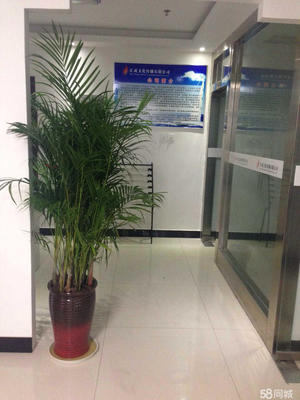 信息咨询服务 数字化时代的通信桥梁与知识枢纽